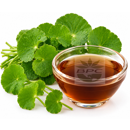 Gotu Kola Liquid Extract Cosmetic Grade